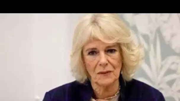 La priorité clé de Camilla en tant que reine consort et comment son impact a été "incommensurable"