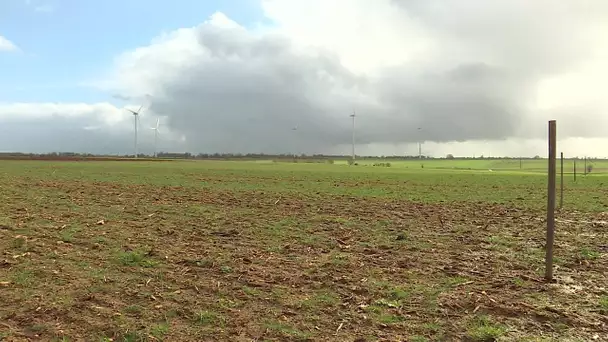 Levée de boucliers contre un projet d'élevage industriel de poulets à Celles-sur-Belle