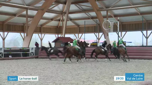 Le Horse ball à Lamotte Beuvron