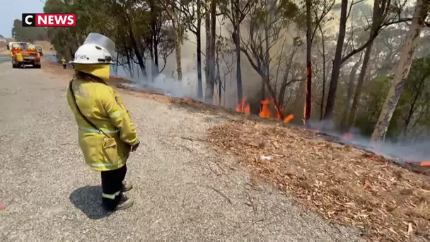 Australie: la marine évacue une ville cernée par les feux de forêt