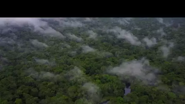 Incendies en Afrique centrale, plus de 10 000 feux recensés en 48 heures en RD Congo et en Angola