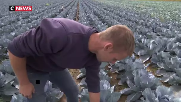 Retour de la pluie : le soulagement des agriculteurs