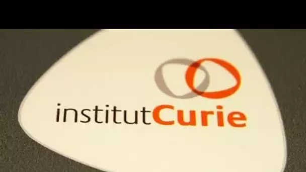 Cancer du sein et de l'ovaire : les chercheurs de l'institut Curie ont fait une découverte