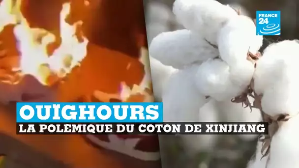 #Ouighours : la polémique du coton de Xinjiang