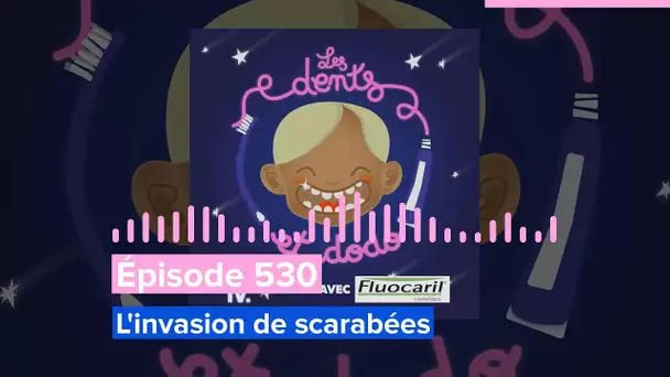 Les dents et dodo - Épisode 530 : L'invasion de scarabées