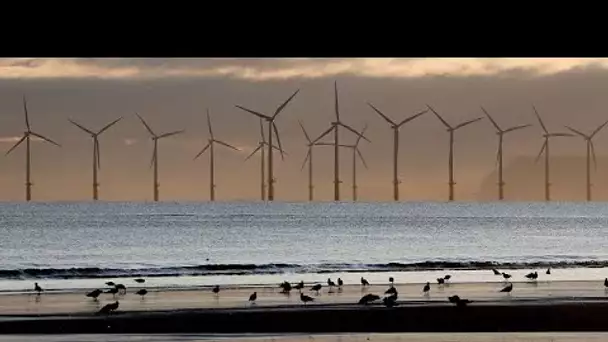 En Suède, le gouvernement retoque 13 projets de parcs éoliens offshore