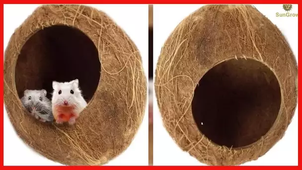 SunGrow Coconut Shell House for Hamsters, 14-16 Inches Circumference, Raw Coco Husk, Pet Hiding