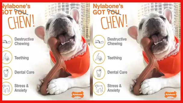 Nylabone Dura Chew Giant Original Flavored Bone Dog Chew Toy, Large/Giant - Up to 50 lbs. (NG104P)