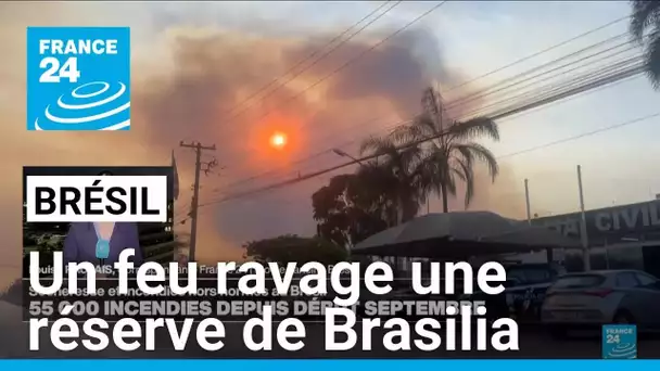 Un feu ravage une réserve de Brasilia, le plus grand incendie dans la capitale brésilienne en 2024