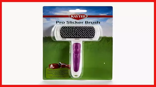 Kaytee Pro-Slicker Brush