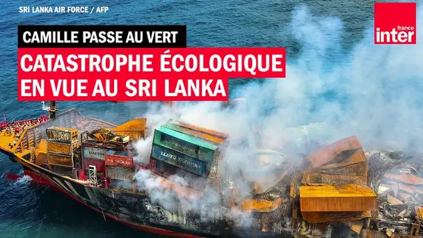 Catastrophe écologique en vue au Sri Lanka - Camille Passe au Vert