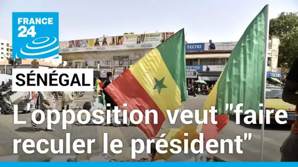 Sénégal : l'opposition veut créer une coalition pour "faire reculer le président Macky Sall"