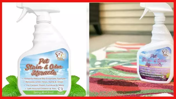 Pet Stain & Odor Miracle - Enzyme Cleaner for Dog Urine Cat Pee Feces Vomit, Enzymatic Solution