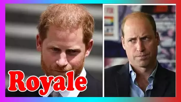 Harry DEVRAIT s'excuser auprès de William mais ''trop ​​tard'' pour rét@blir la confiance