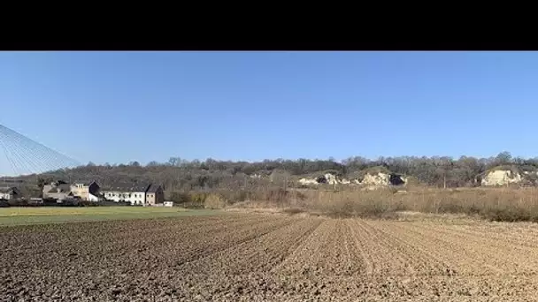 Préserver et adapter les forêts européennes face au changement climatique