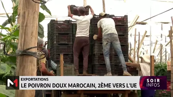 Exportations : Le poivron doux marocain, 2ème vers l’UE