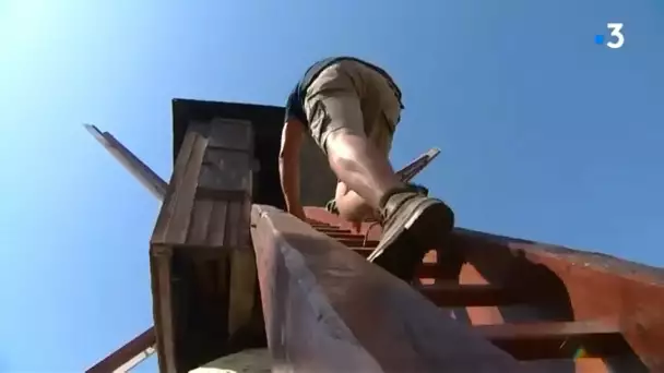 Mayenne : l'étonnant moulin cavier de la Guénaudière à Grez-en-Bouère