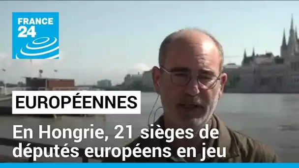 En Hongrie, 21 sièges de députés européens en jeux • FRANCE 24