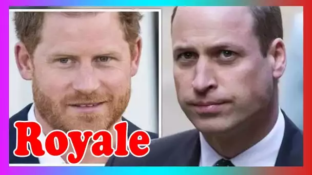 William ''n'aime pas parler de Harry'' c@r cela ''lui donne mal à la tête''