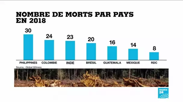 164 défenseurs de l'environnement ont été tués en 2018 selon un rapport de l'ONG Global Witness