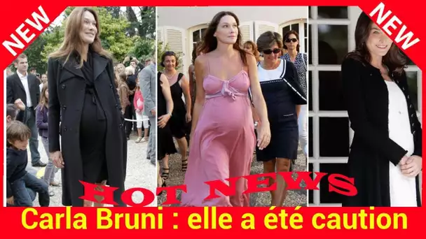 Carla Bruni : elle a été caution solidaire d'un prêt pour son mari