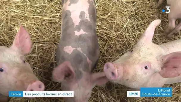 Ils créent un magasin commun de producteurs fermiers à Conchy-sur-Canche.