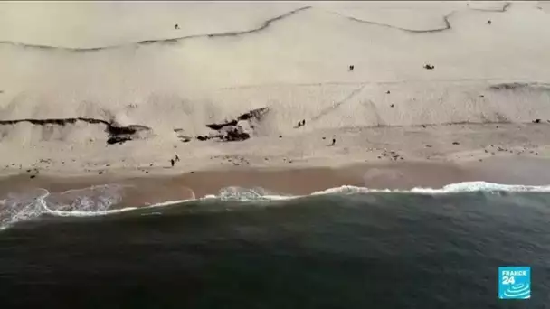 Incendies en Gironde : face à la fuite des touristes, le Bassin d'Arcachon veut sauver sa saison