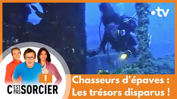 Chasseurs d'épaves : Les trésors disparus ! - C'est pas sorcier [Intégrale]