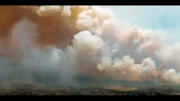 Incendies au Canada : les pompiers français sont partis pour renforcer les rangs du pays