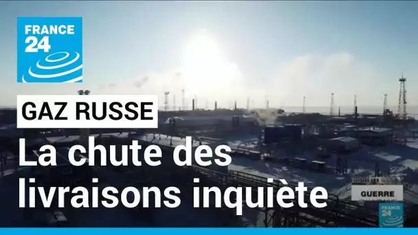 Face à la chute des livraisons de gaz russe, l'Europe se prépare au pire • FRANCE 24