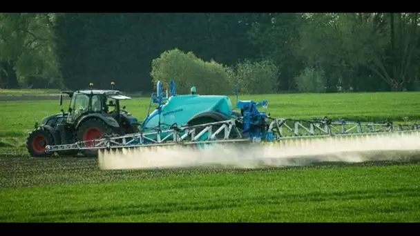 Pesticides : mettre en place des zones non traitées " va avoir un impact important sur les revenu…