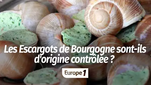 Les Escargots de Bourgogne sont-il d'origine contrôlée ?