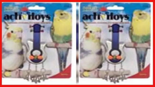 JW Pet Company Activitoys Guitar Bird Toy