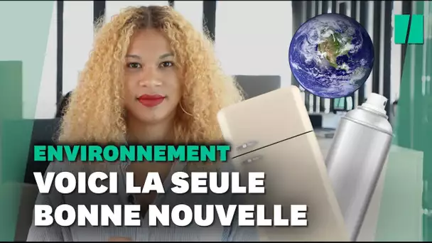 En 30 ans, le seul fait d'arme écolo de l'humanité est lié à votre frigo