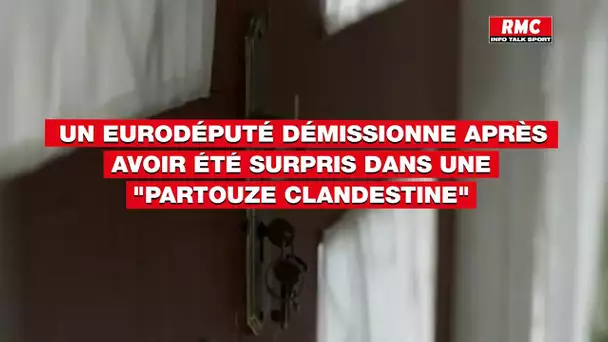 Un eurodéputé démissionne après avoir été surpris dans une "partouze clandestine"