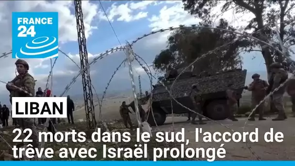 Liban : 22 morts dans le sud, l'accord de trêve avec Israël prolongé • FRANCE 24