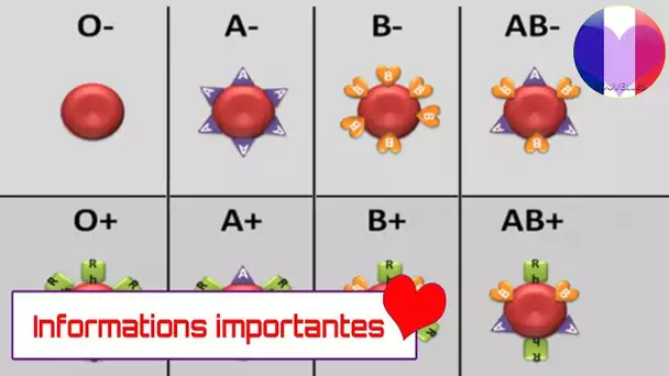 Votre groupe sanguin dit des choses incroyables sur votre santé