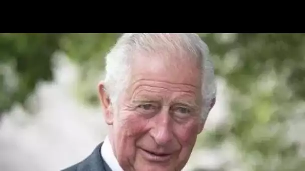 Le prince Charles devrait "absolument" devenir prince régent : "Étape logique"