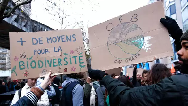 Grève inédite à l'OFB face aux tensions avec le monde agricole et politique