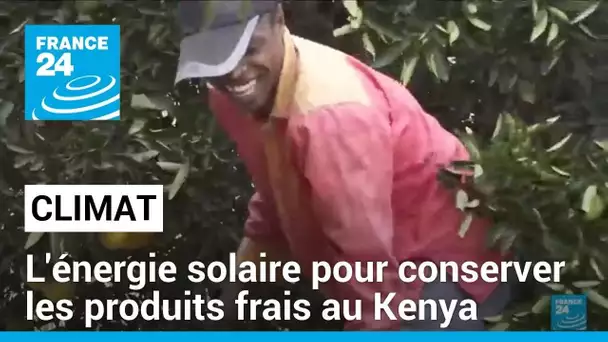 Sommet africain sur le climat : l'énergie solaire pour conserver les produits frais au Kenya