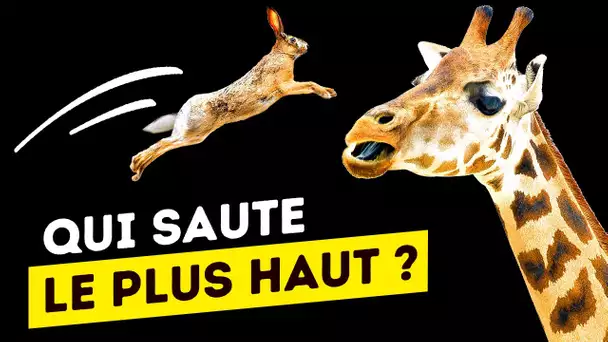 Qui Saute Le Plus Haut De Tout Le Règne Animal ?