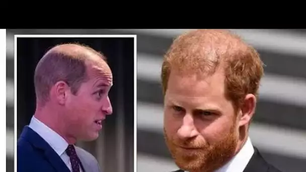 Le prince William «étonné» par le coup du prince Harry sur la relation des frères royaux