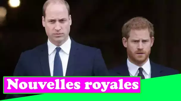 Le prince William "sans frère" Harry alors que la querelle royale s'intensifiait