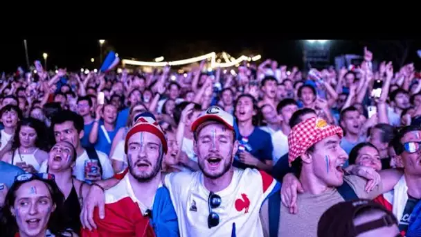 Coupe du Monde de rugby : la compétition est déjà un véritable succès économique et télévisuel