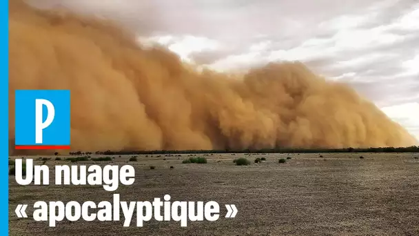 Australie : après les incendies, d’énormes grêlons et un nuage de poussière