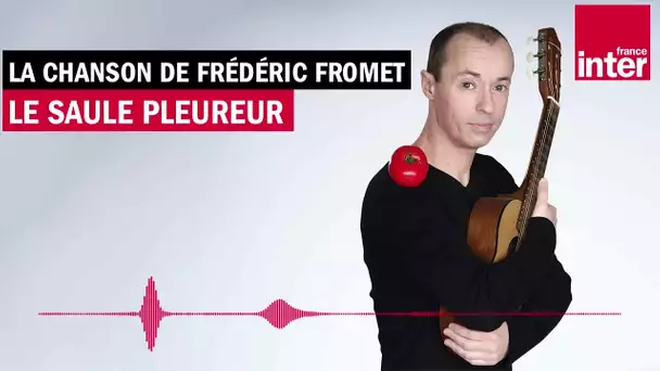 Le saule pleureur - La chanson de frederic Fromet