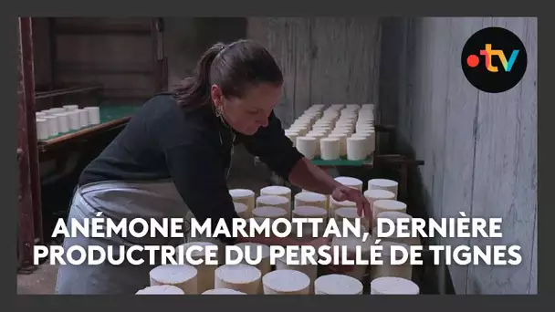 "J'ai la même exigence" : ancienne championne de ski, elle produit un fromage rarissime en Savoie