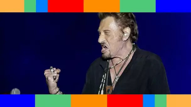 ✟  Héritage de Johnny Hallyday : où en est-on quatre ans après la mort du Taulier ?