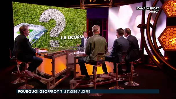 Pourquoi Geoffroy ? : le Stade de la Licorne