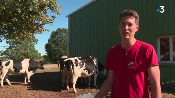 Un brumisateur pour rafraîchir les vaches